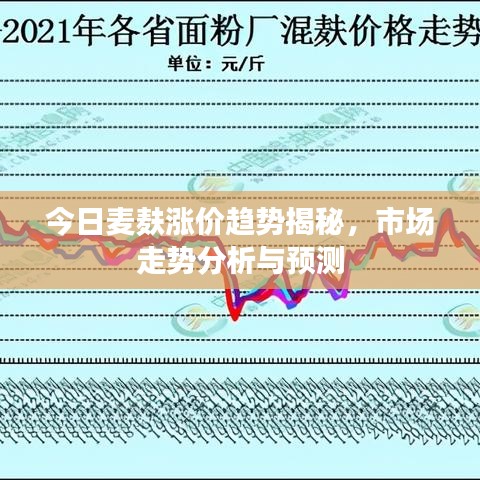 今日麦麸涨价趋势揭秘，市场走势分析与预测