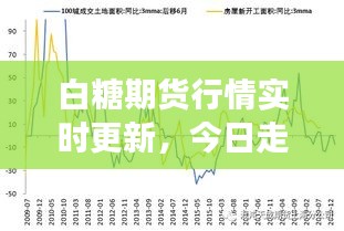 白糖期货行情实时更新，今日走势分析与市场洞察