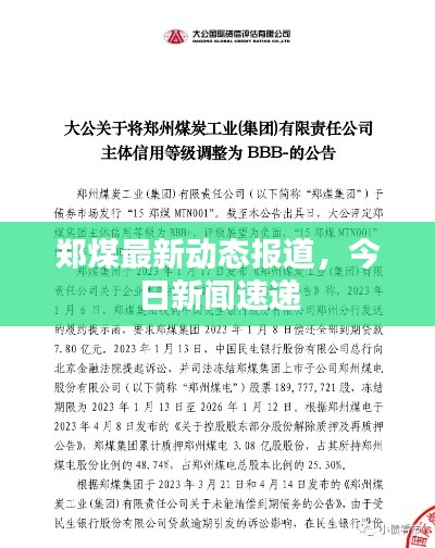 郑煤最新动态报道，今日新闻速递