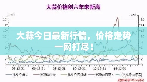 大蒜今日最新行情，价格走势一网打尽！