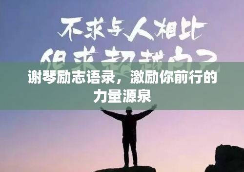 谢琴励志语录，激励你前行的力量源泉