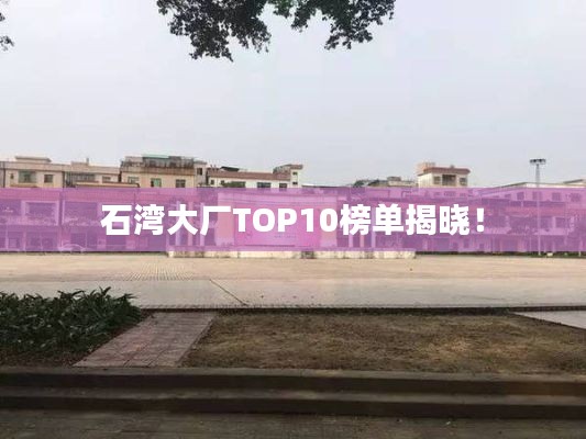 石湾大厂TOP10榜单揭晓！