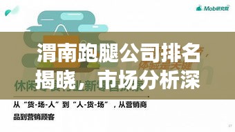 渭南跑腿公司排名揭晓，市场分析深度解读！