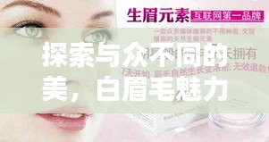 探索与众不同的美，白眉毛魅力揭秘