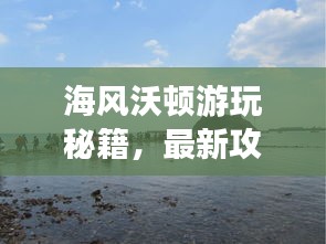 海风沃顿游玩秘籍，最新攻略大全