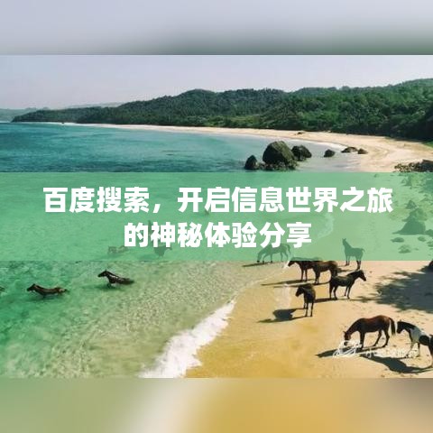 百度搜索，开启信息世界之旅的神秘体验分享