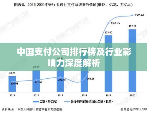 中国支付公司排行榜及行业影响力深度解析