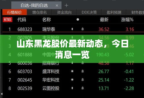 山东黑龙股价最新动态，今日消息一览