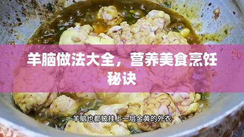 羊脑做法大全，营养美食烹饪秘诀