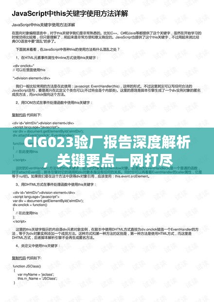 CIG023验厂报告深度解析，关键要点一网打尽