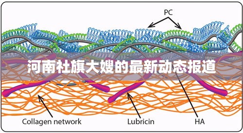 河南社旗大嫂的最新动态报道