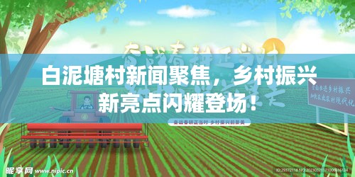 白泥塘村新闻聚焦，乡村振兴新亮点闪耀登场！