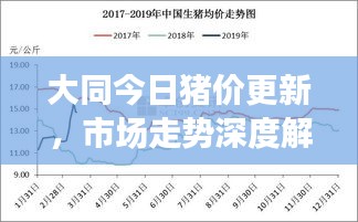 大同今日猪价更新，市场走势深度解析与影响因素探讨