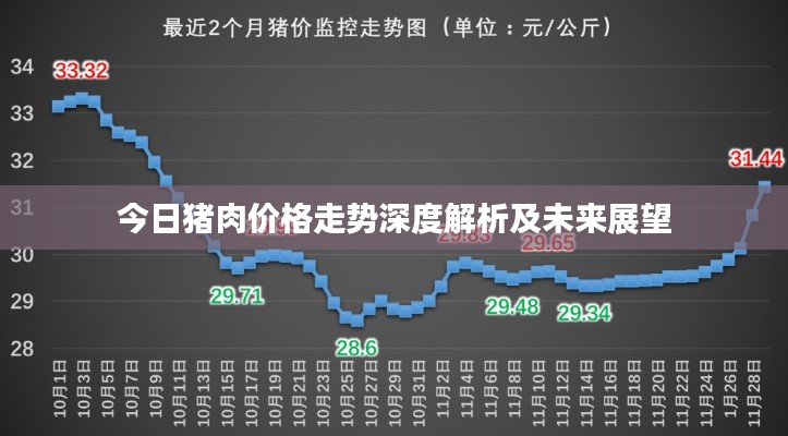 今日猪肉价格走势深度解析及未来展望