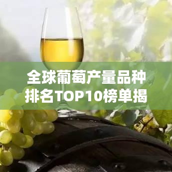 全球葡萄产量品种排名TOP10榜单揭晓