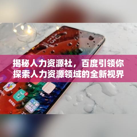 揭秘人力资源社，百度引领你探索人力资源领域的全新视界！