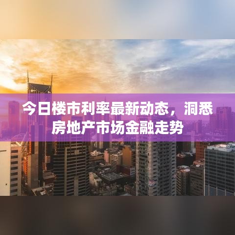 今日楼市利率最新动态，洞悉房地产市场金融走势