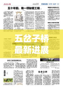 五岔子桥最新进展与未来规划揭秘，新闻头条重磅更新