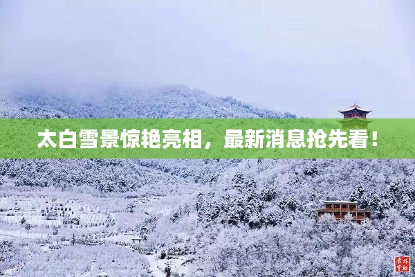 太白雪景惊艳亮相，最新消息抢先看！