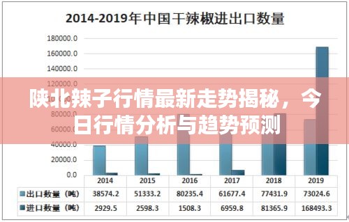 陕北辣子行情最新走势揭秘，今日行情分析与趋势预测