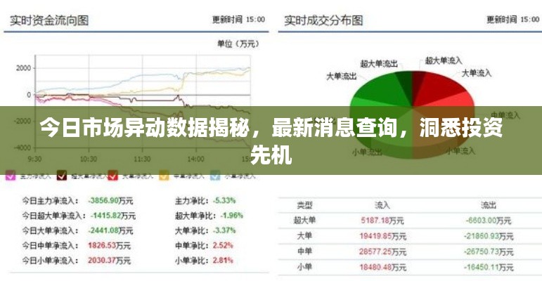 今日市场异动数据揭秘，最新消息查询，洞悉投资先机