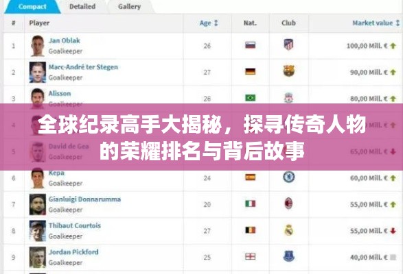 全球纪录高手大揭秘，探寻传奇人物的荣耀排名与背后故事