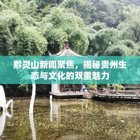 黔灵山新闻聚焦，揭秘贵州生态与文化的双重魅力