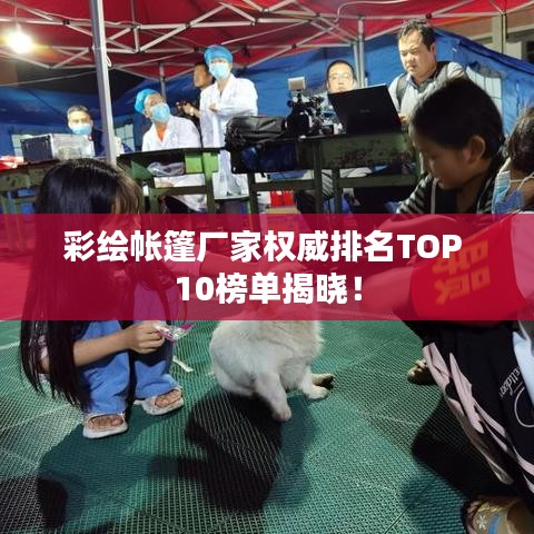 彩绘帐篷厂家权威排名TOP 10榜单揭晓！