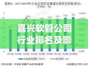 嘉兴软管公司行业排名及影响力解析，专业解读市场地位与影响力！