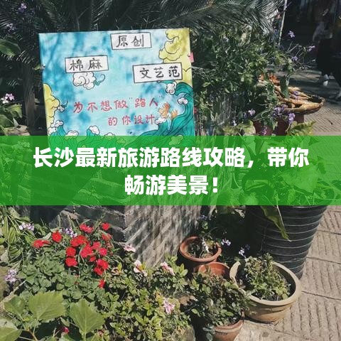 长沙最新旅游路线攻略，带你畅游美景！