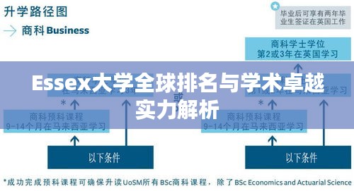 Essex大学全球排名与学术卓越实力解析