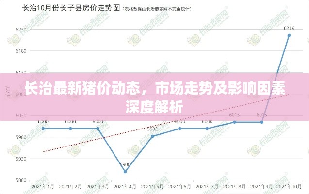 长治最新猪价动态，市场走势及影响因素深度解析