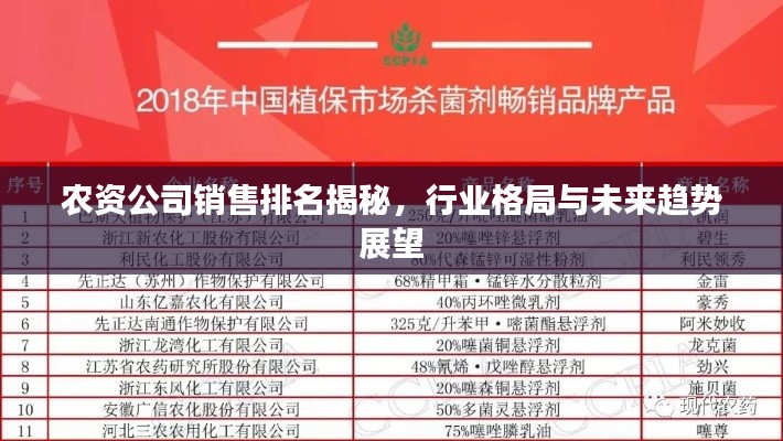 农资公司销售排名揭秘，行业格局与未来趋势展望