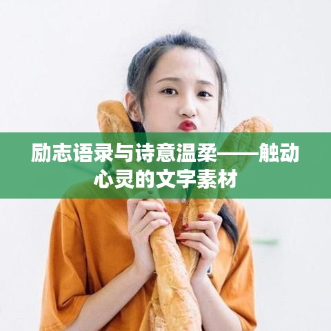 励志语录与诗意温柔——触动心灵的文字素材