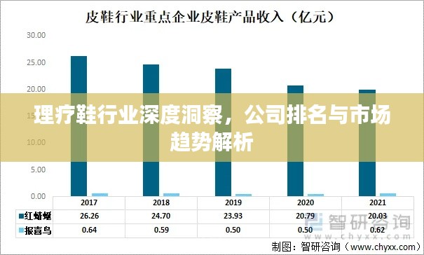 理疗鞋行业深度洞察，公司排名与市场趋势解析