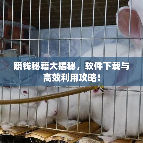 赚钱秘籍大揭秘，软件下载与高效利用攻略！