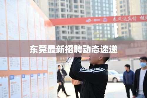 东莞最新招聘动态速递
