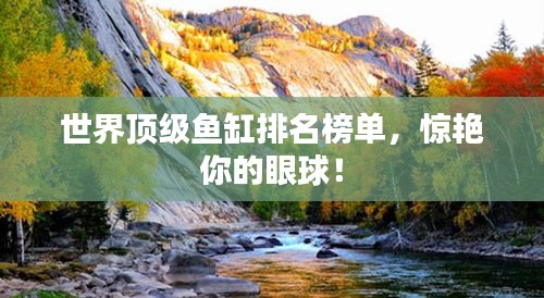 世界顶级鱼缸排名榜单，惊艳你的眼球！