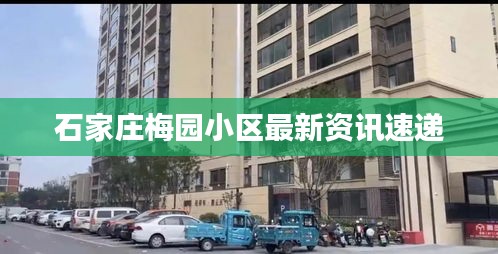 石家庄梅园小区最新资讯速递