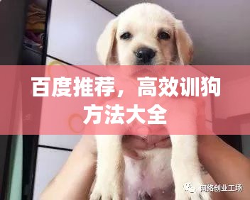 百度推荐，高效训狗方法大全