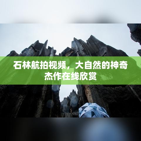 石林航拍视频，大自然的神奇杰作在线欣赏
