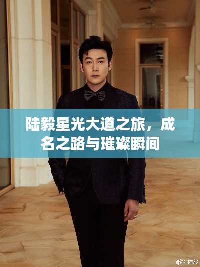 陆毅星光大道之旅，成名之路与璀璨瞬间