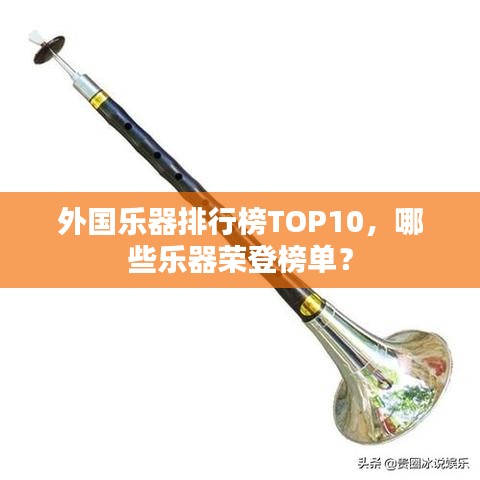 外国乐器排行榜TOP10，哪些乐器荣登榜单？