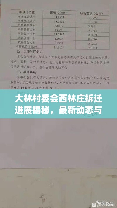 大林村委会西林庄拆迁进展揭秘，最新动态与消息汇总