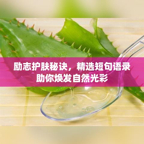 励志护肤秘诀，精选短句语录助你焕发自然光彩