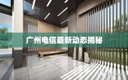 广州电信最新动态揭秘