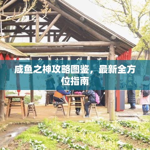 咸鱼之神攻略图鉴，最新全方位指南