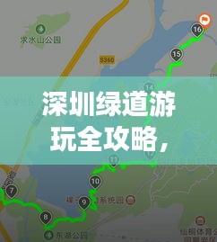 深圳绿道游玩全攻略，最新路线指南