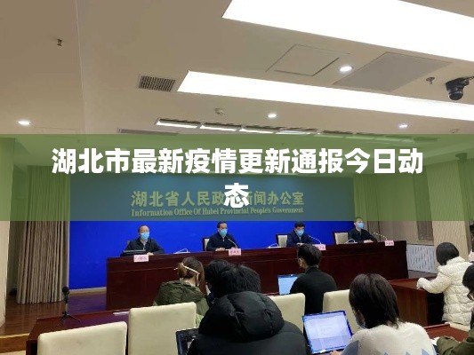 湖北市最新疫情更新通报今日动态