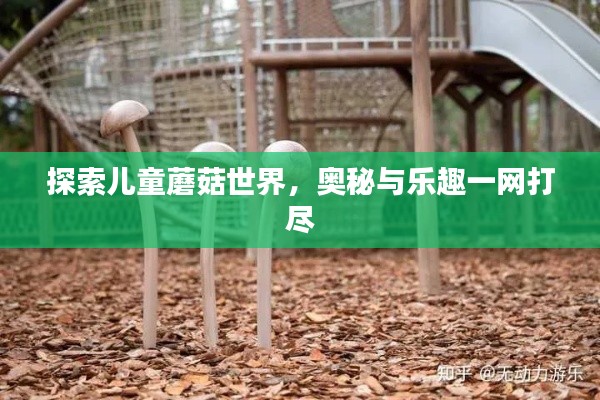 探索儿童蘑菇世界，奥秘与乐趣一网打尽